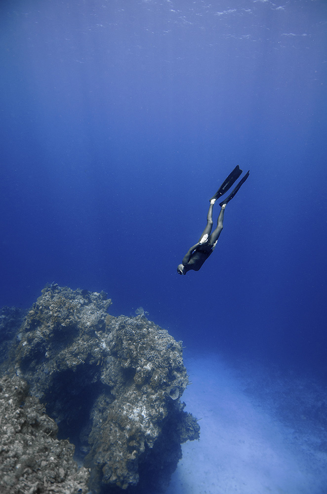 Free diving courses in Mallorca