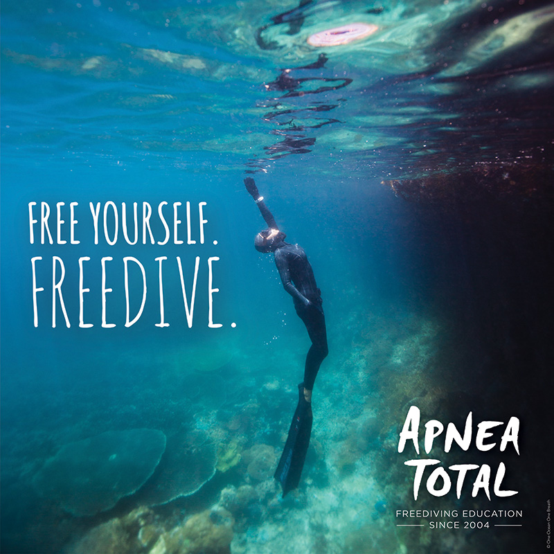 Free diving in Mallorca